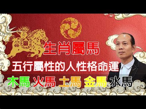 馬年出生的人|屬馬年份｜2024年幾歲？屬馬出生年份+歲數一